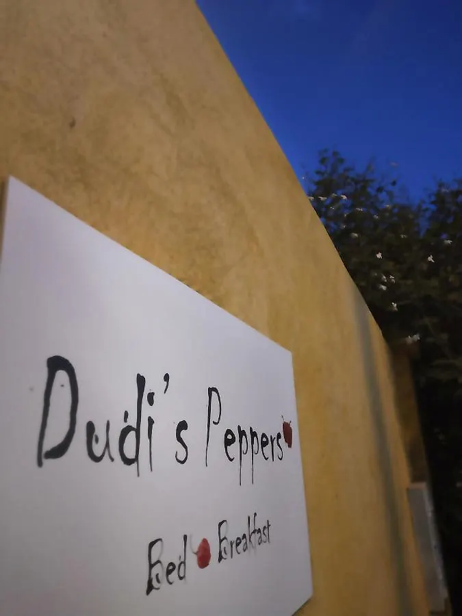Dudi'S Peppers Apartment Malaga Homestay