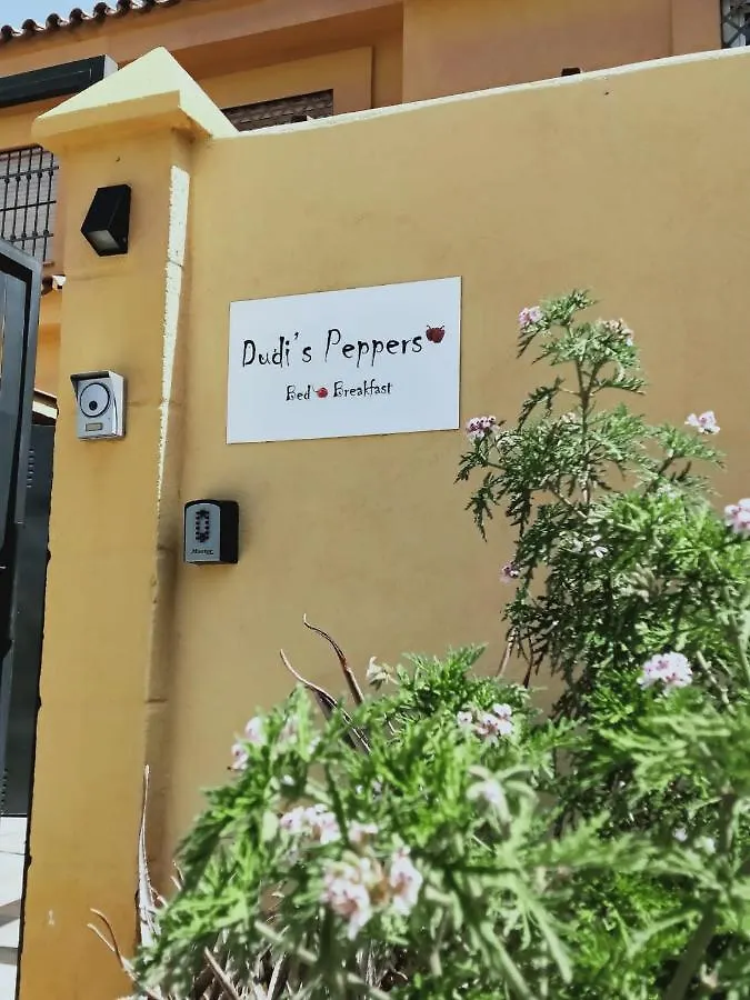 Dudi'S Peppers Apartment Malaga