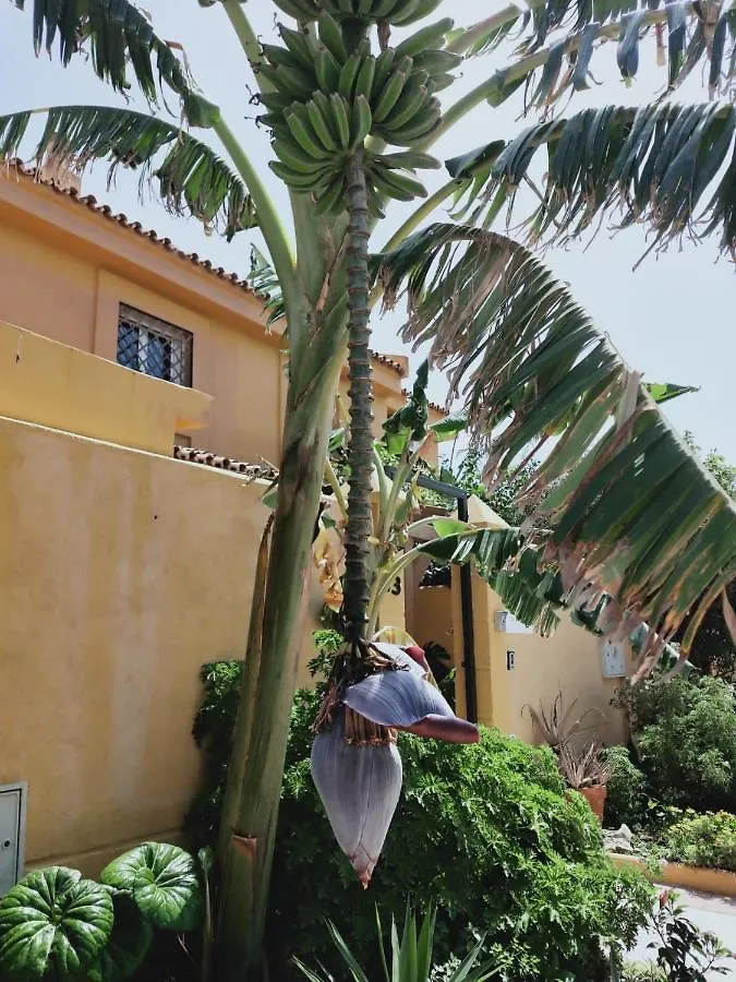 Séjour chez l'habitant Appartement Dudi'S Peppers à Málaga